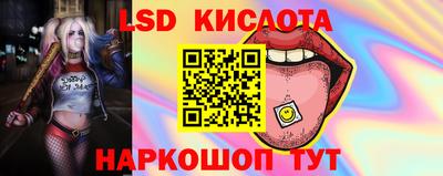 сатива Сланцы
