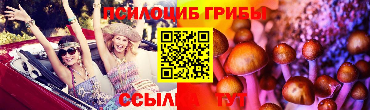Муром  Галлюциногенные грибы GOLDEN TEACHER  Вход с VPN 